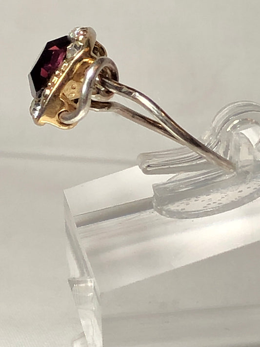 Aquarius Garnet birthstone