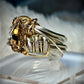 Silver ring: the golden privateer￼