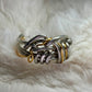 Silver and gold ring: circle of the unbroken promise