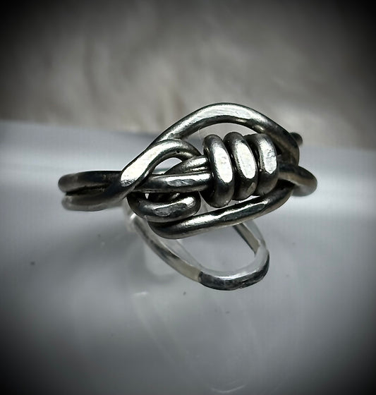 Silver ring: keeper of the oath