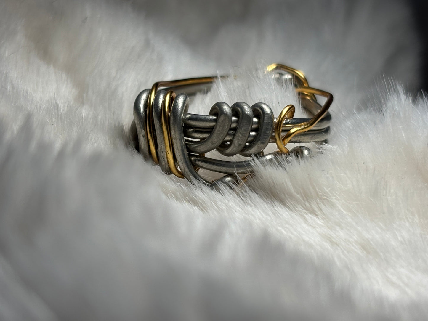 Silver and gold ring: circle of the unbroken promise