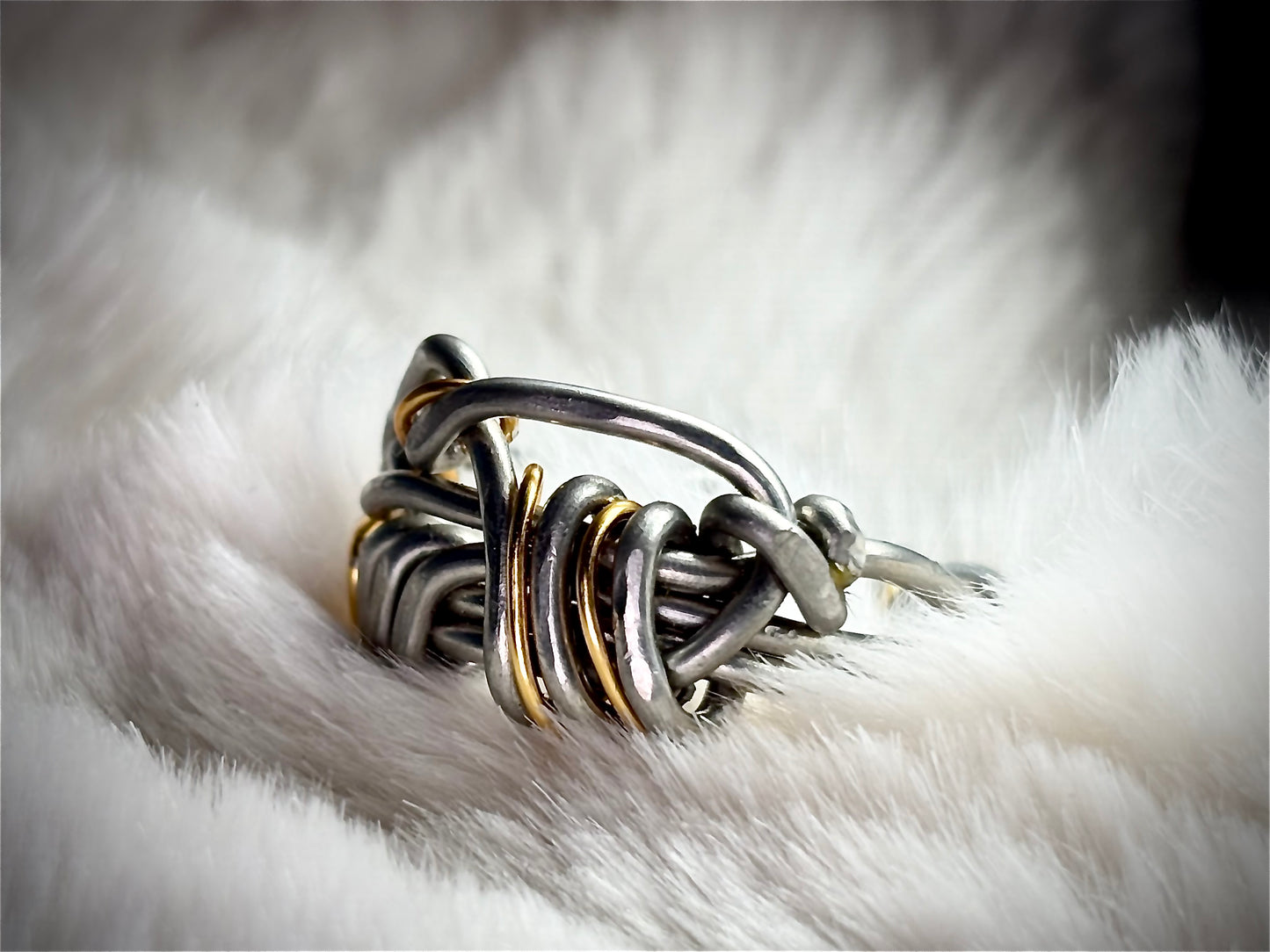 Silver and gold ring: circle of the unbroken promise