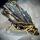 Kyanite ring: thrown of the night realm