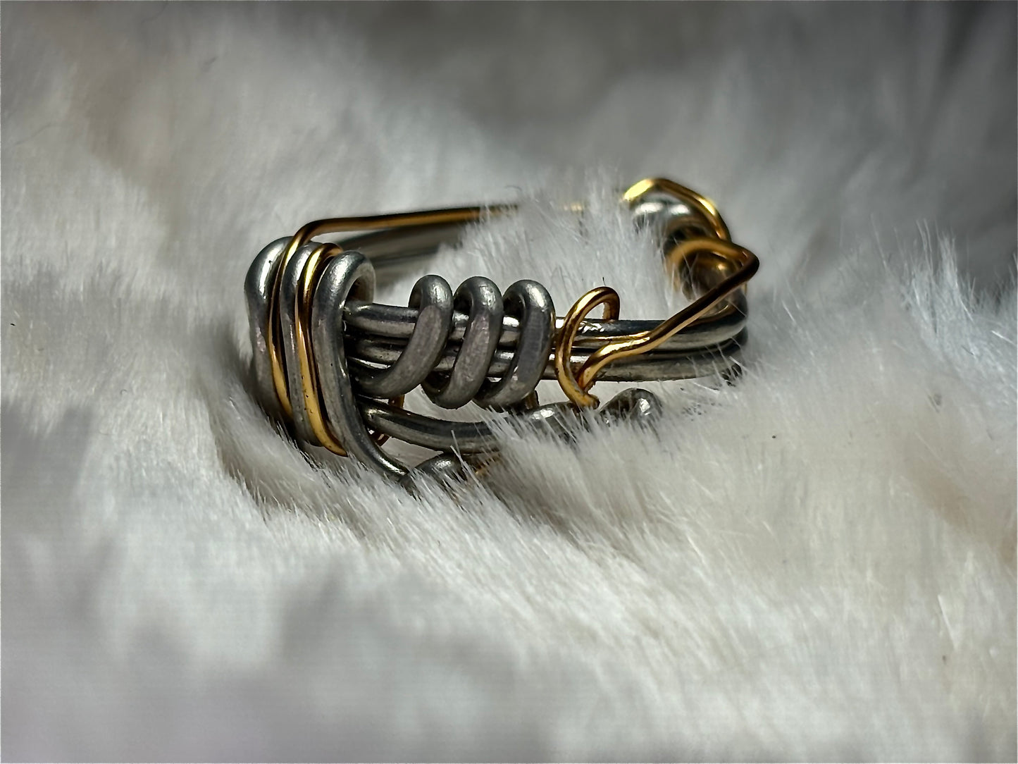 Silver and gold ring: circle of the unbroken promise