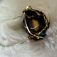Eye of the Silent Protector — Panther Guardian Ring