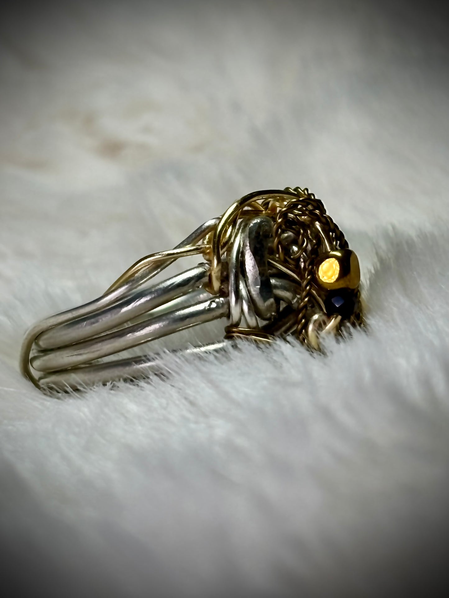 Silver ring: the golden privateer￼