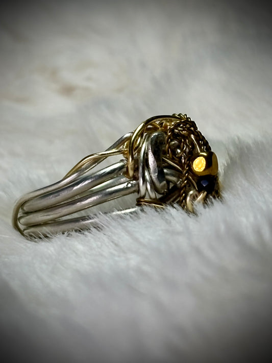 Silver ring: the golden privateer￼
