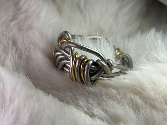 Silver and gold ring: circle of the unbroken promise